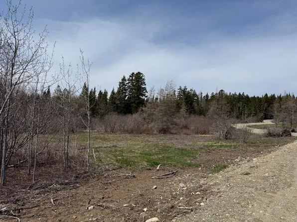 Lot 2 Holmes Bay Farms Road, Whiting, ME 04691