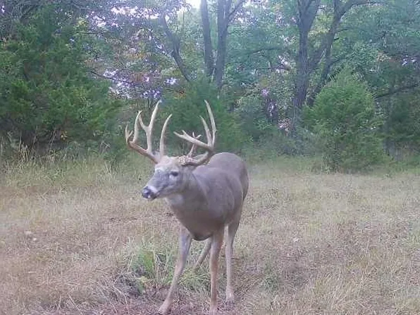 17176 State Highway 129, Unionville, MO 63565