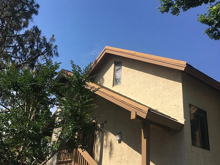 89 Tangelo — Photo 3