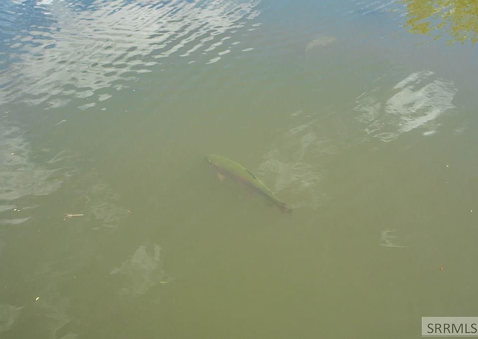 52nd image of this home