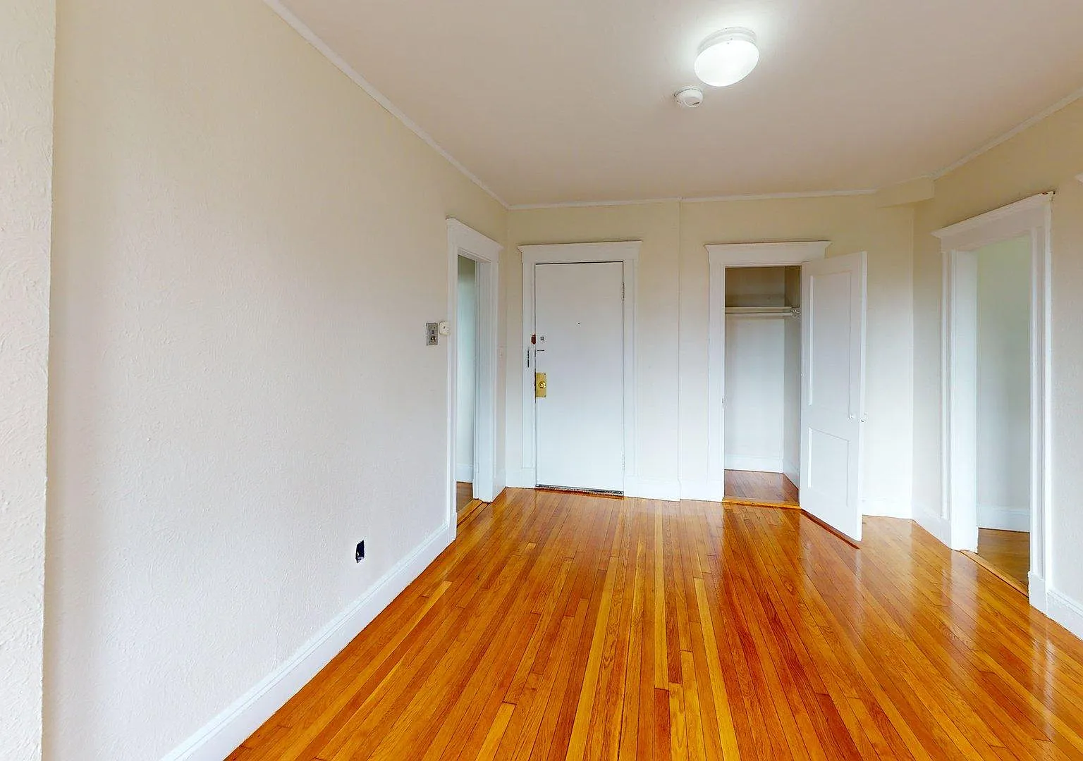 Studio, $2,395 — Photo 2