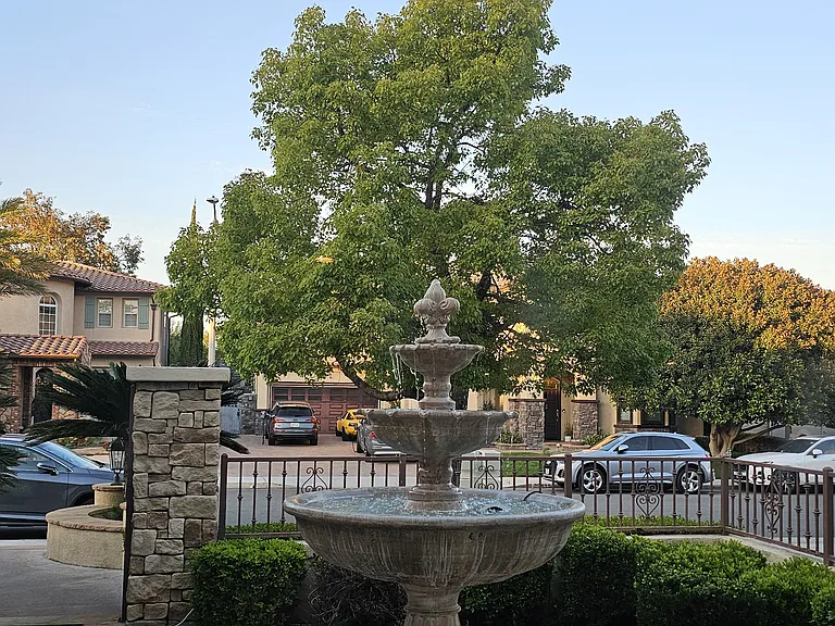 Alcott Ct — Photo 12