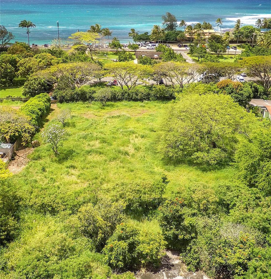 59104 Kamehameha Hwy A, Haleiwa, HI 96712 Zillow