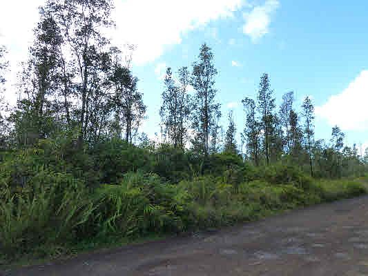 1st image of 37th Ave Lot 43