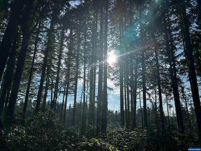 S Meyers Next To Rd, Oregon City, OR, 97045