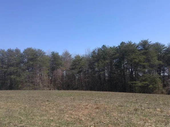 Metzger Ln, Spring City, TN 37381