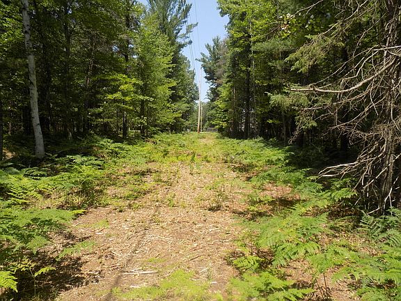 3rd image of Old Pine Trl