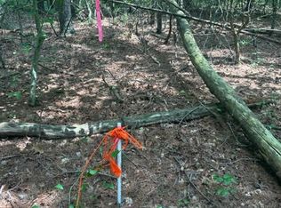 0 Haw Patch Rd, Ferrum, VA 24088