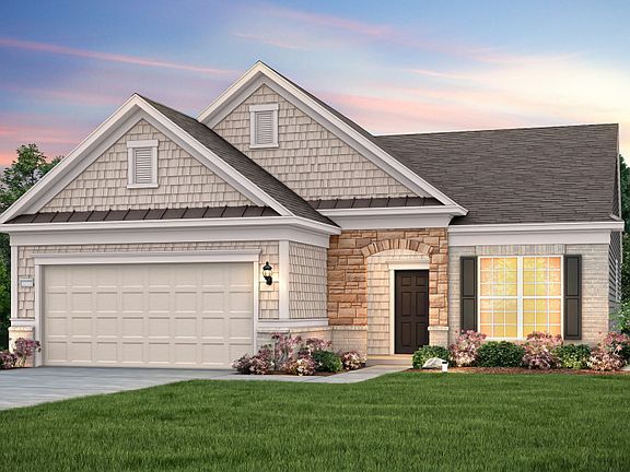 Martin Ray Elevation 6