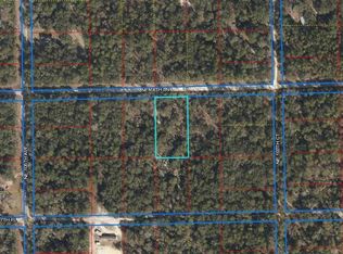 10650 NE 78th Ln, Bronson, FL 32621