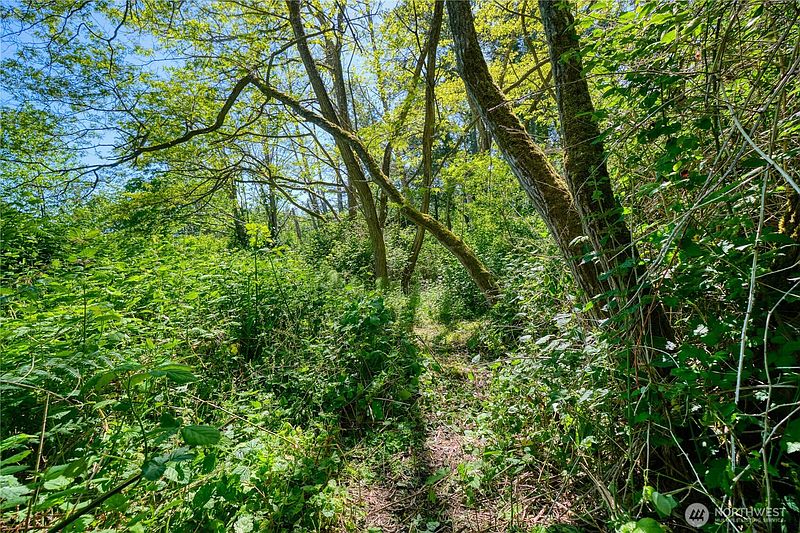 4th image of 6 acres South Beach Road
