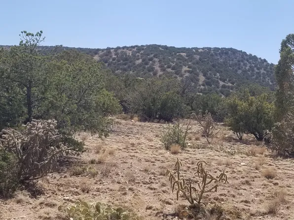 190 Quiet Valley Dr, Estancia, NM 87016