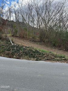 210 Rattlesnake Hollow Rd, Gatlinburg, TN, 37738