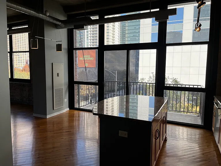 210 S Desplaines St #307 — Photo 6