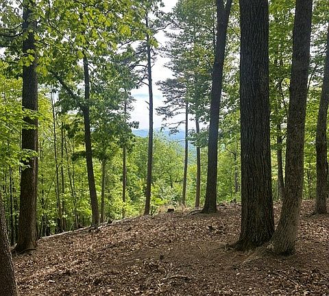 5th image of 4 Hamptons Knob Rd