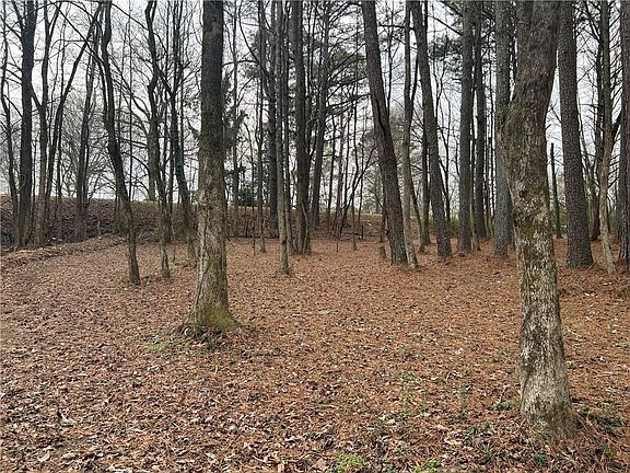 2nd image of 163 Bryant Rd