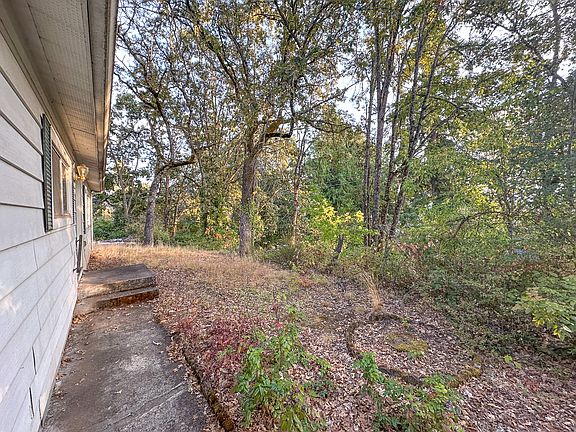 Front Side View: A peaceful forest edge wraps around the home, where sunlight filters through the trees. This low-maintenance natural landscape changes with the seasons_wild, quiet, and full of life. It's not a manicured lawn; it's a woodland sanctuary.