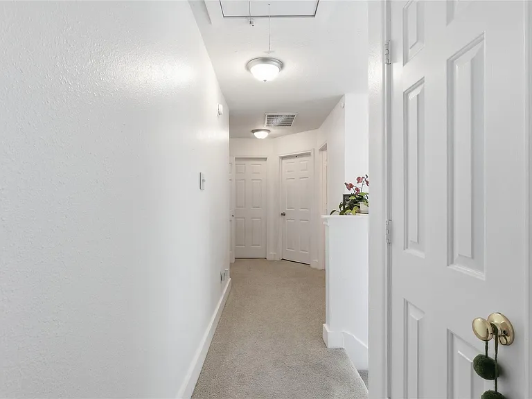 151 Anise Tree Pl — Photo 17