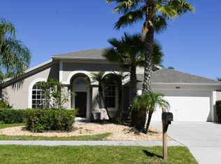 18005 Misty Blue Ln, Tampa, FL 33647