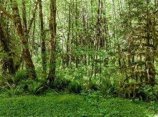99992 Dowans Creek Road, Forks, WA 98331