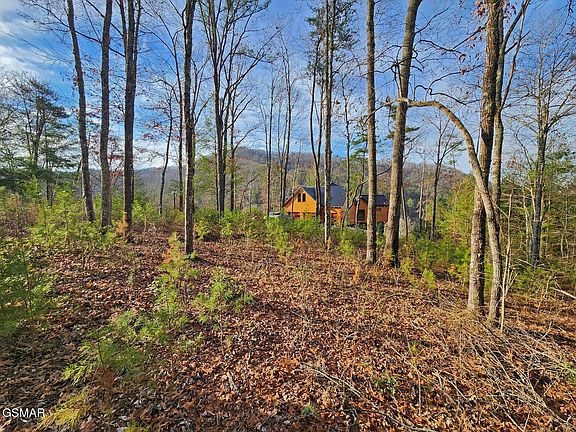 4th image of 3 Mountain Ash Way Lot 3