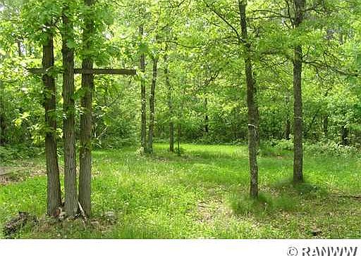 1st image of 9120 Birch Road