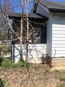 318 Miles St, Ypsilanti, MI, 48198