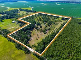 2604 SE Donaldson Rd, Lee, FL 32059