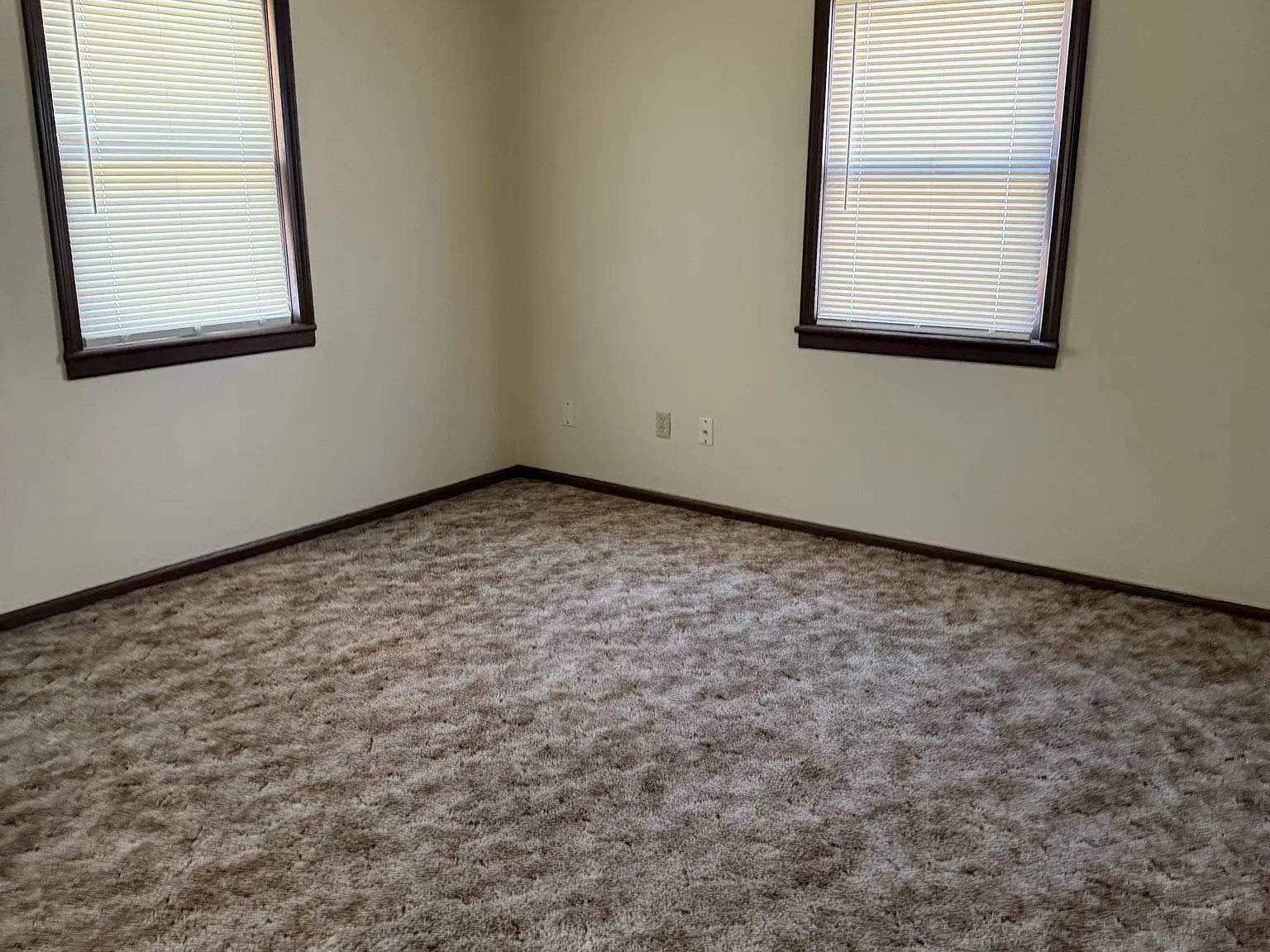 524 Chestnut St — Photo 3