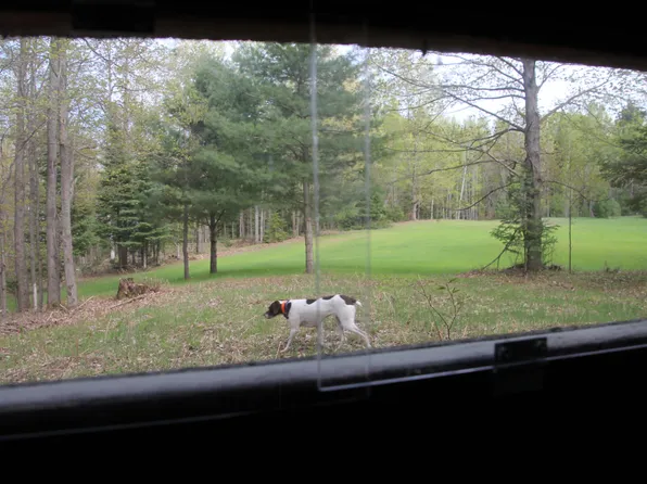 Hall Rd, Atlanta, MI 49709