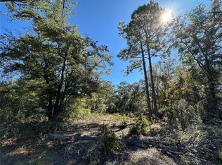 NE 86th St LOT 217, Bronson, FL 32621