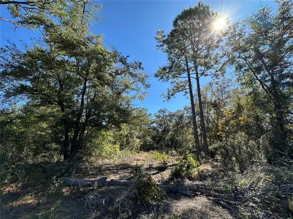 NE 86th St Lot 217, Bronson, FL 32621