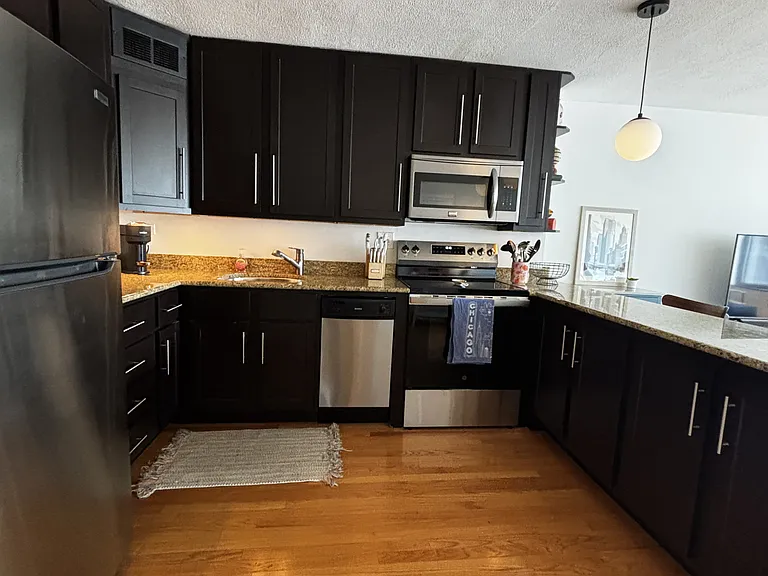 3100 N Lake Shore Dr #1204 — Photo 6