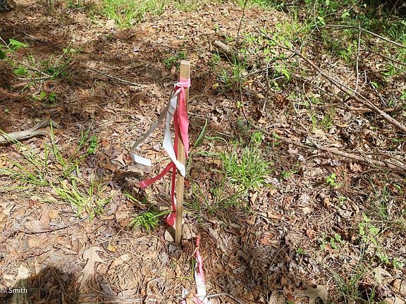 5th image of 0 Willard Taylor Rd