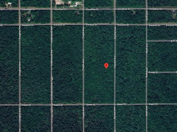 (undisclosed Address), Hastings, FL 32145