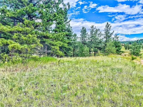 1379 S Mountain Estates Road, Florissant, CO 80816