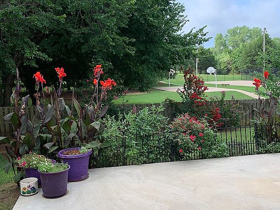 Backyard Summertime view