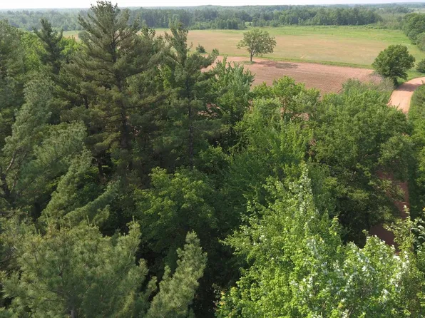 Lot B 40 Acres DEWEY DRIVE, Stevens Point, WI 54482