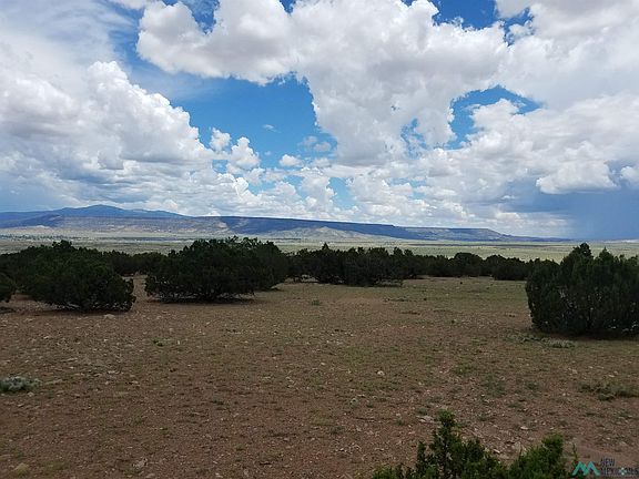 2nd image of Camino De Silvestre