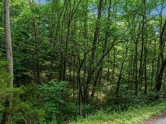 4th image of LOT 44 Cedarwood Cir