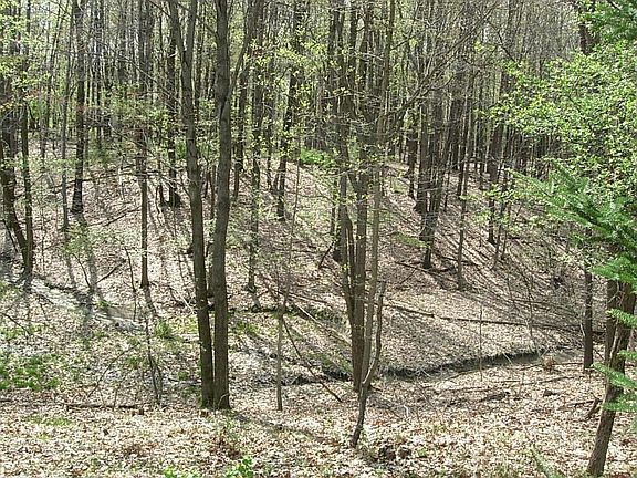 4th image of 7140 Brenda Lee Dr