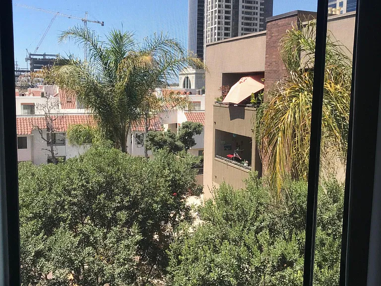 View towards The Midway out the living room window.