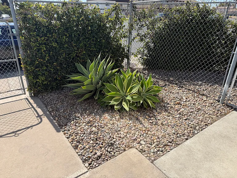 399 Zenith St — Photo 10