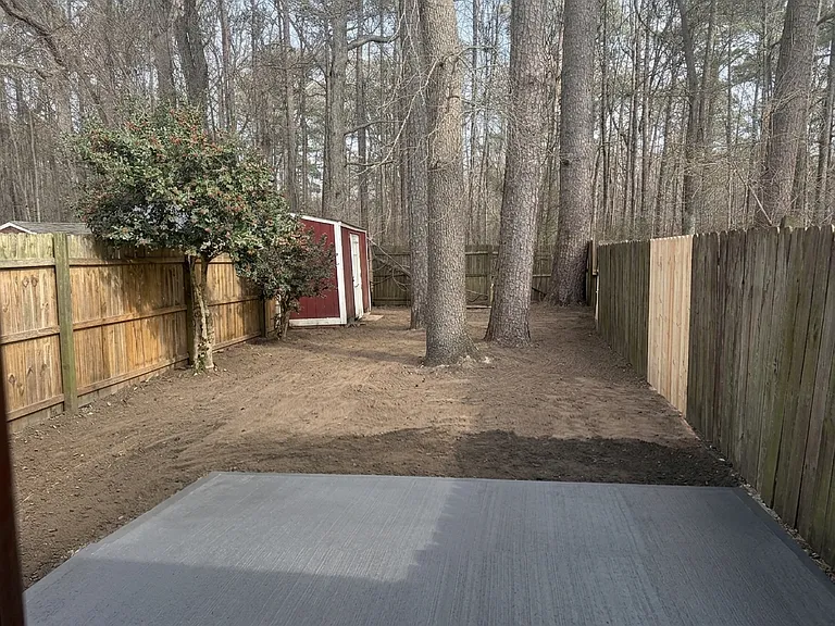 backyard_05162026