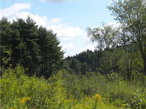 4th image of 99 Mitchell Hill Road