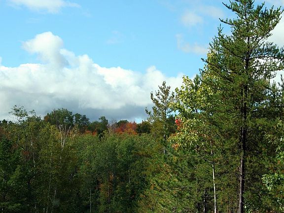 View from Timber Creek Road