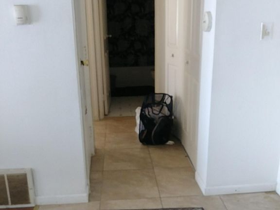 2nd image of 1271 S Leo Ct #108