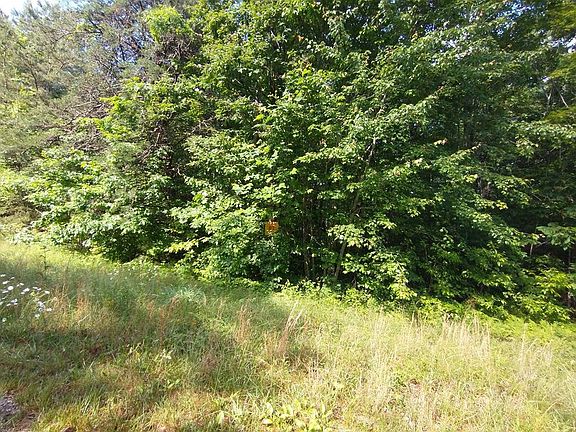 2nd image of 0 Crest View Dr Lot 7