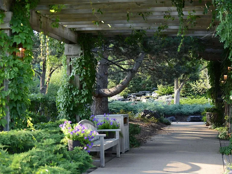 Vine covered trellis at Cedars of Edina