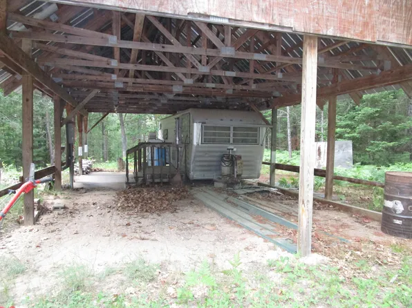 15282 Wildlife Trl, Wolverine, MI 49799